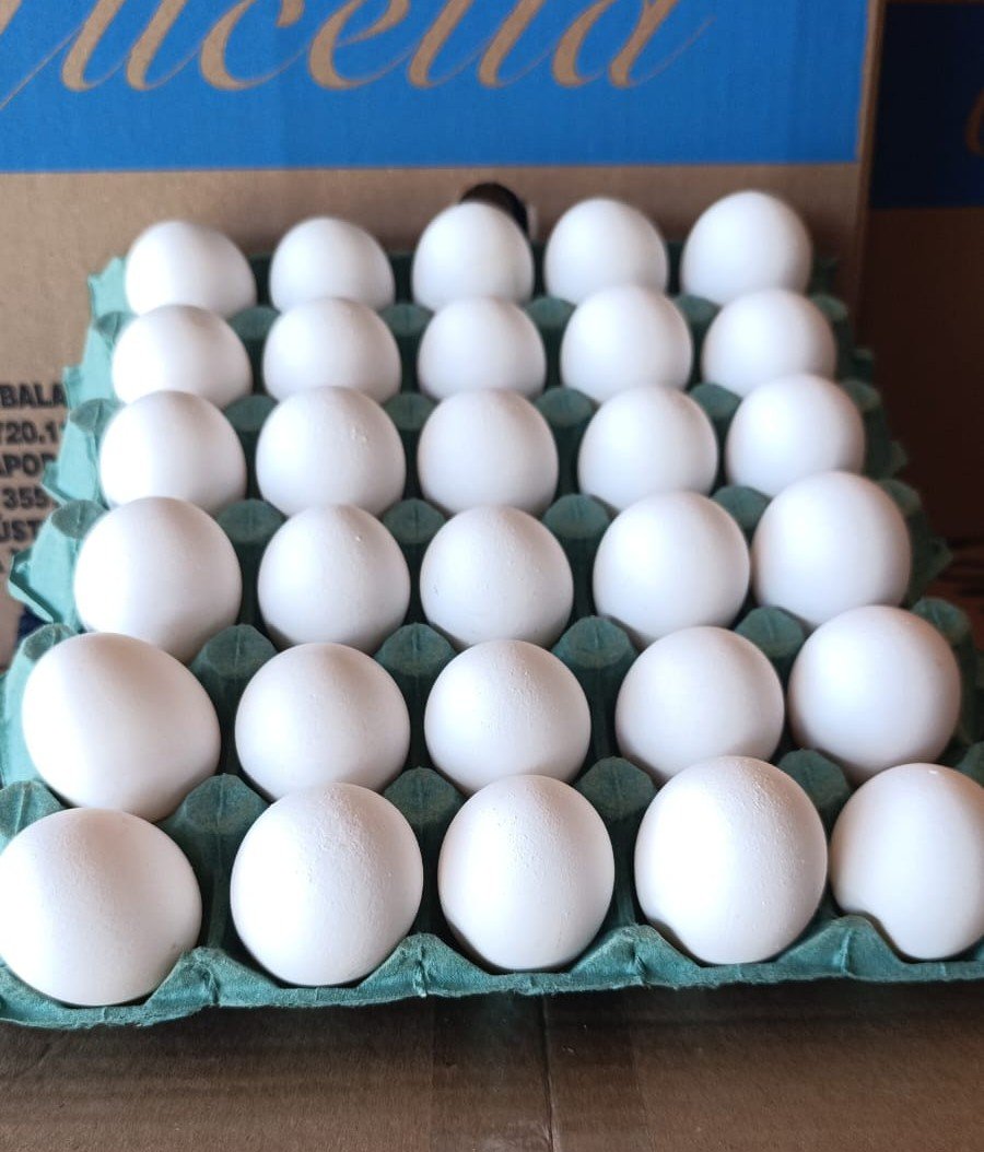 Ovos do tipo 'Extra'